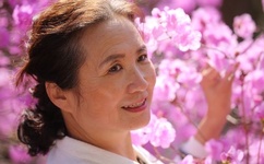 成人网站免费影片可能遭黑客窃取